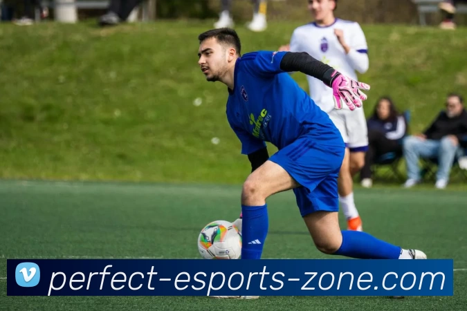 完美电竞社区发展历程